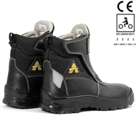 Orazzo Picus TRAIL