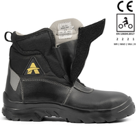 Orazzo Picus TRAIL