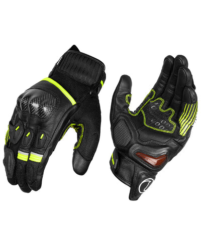 Riding Gloves