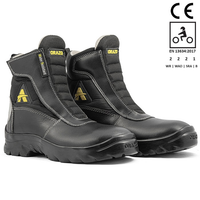 Orazzo Picus TRAIL