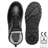 Orazzo Picus TRAIL